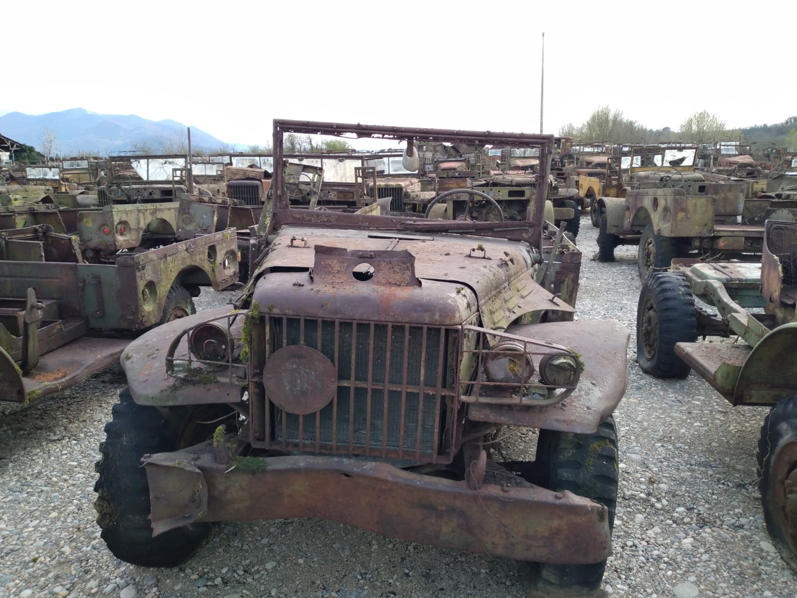 DODGE WC 51